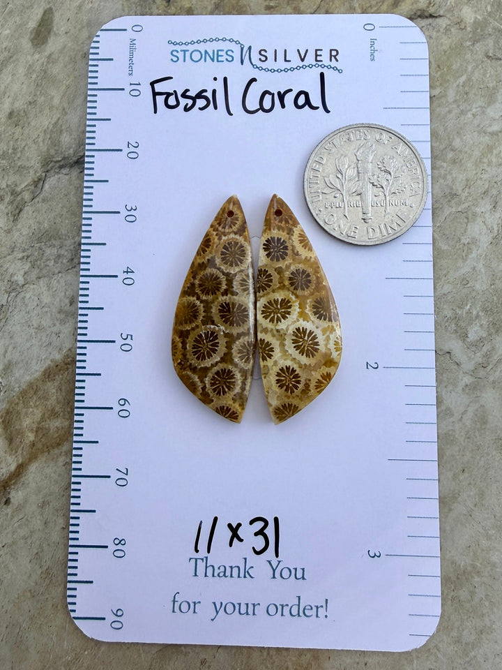 AAA+ Fossil Coral Matching Earring Slab Bead Pair 11x31mm