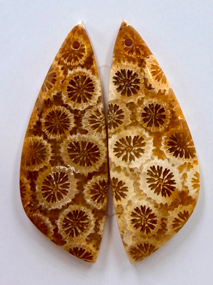 AAA+ Fossil Coral Matching Earring Slab Bead Pair 11x31mm