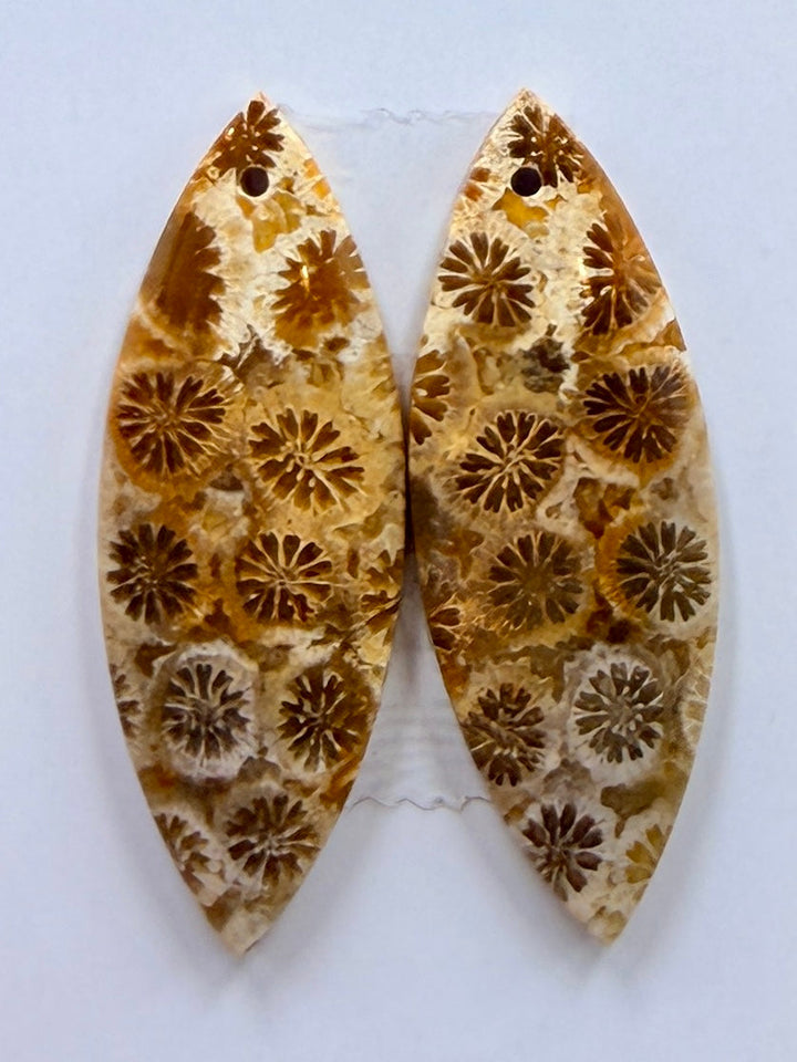 AAA+ Fossil Coral Matching Earring Slab Bead Pair 11x32mm