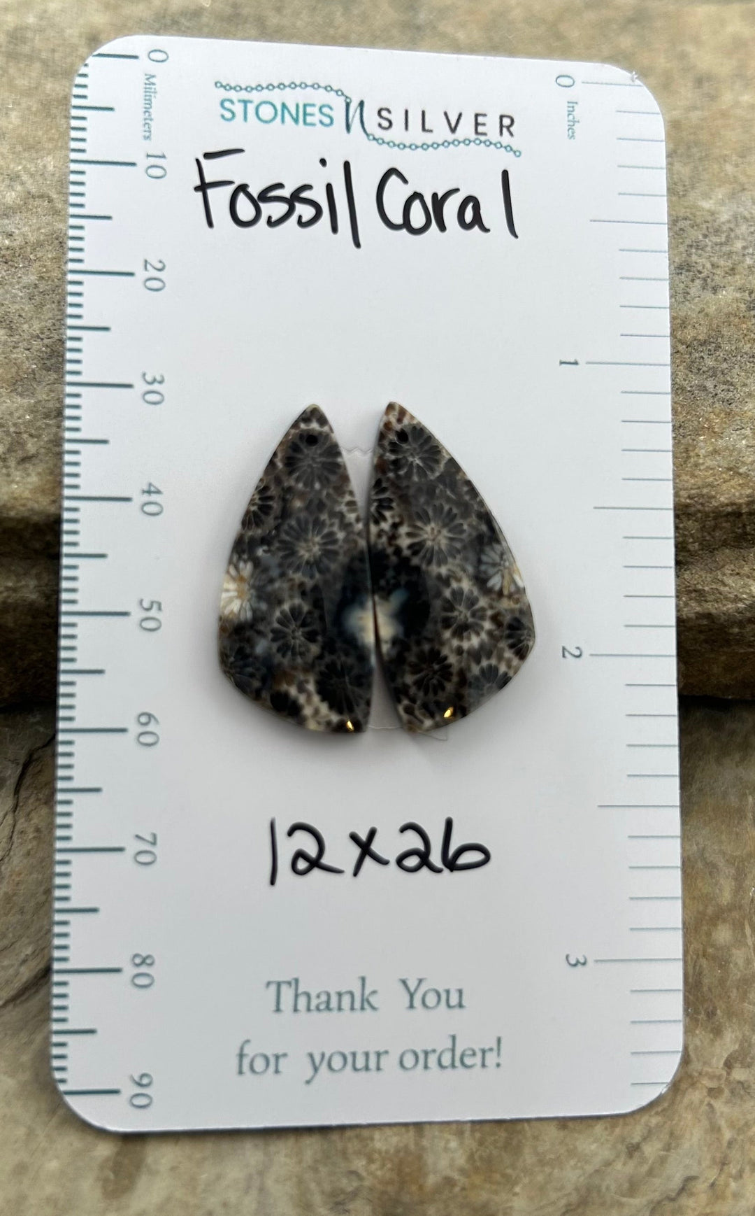 AAA+ Fossil Coral Matching Earring Slab Bead Pair 12x26mm