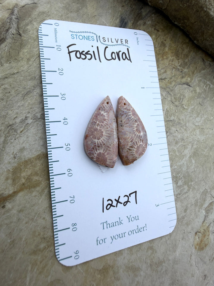 AAA+ Fossil Coral Matching Earring Slab Bead Pair 12x27mm