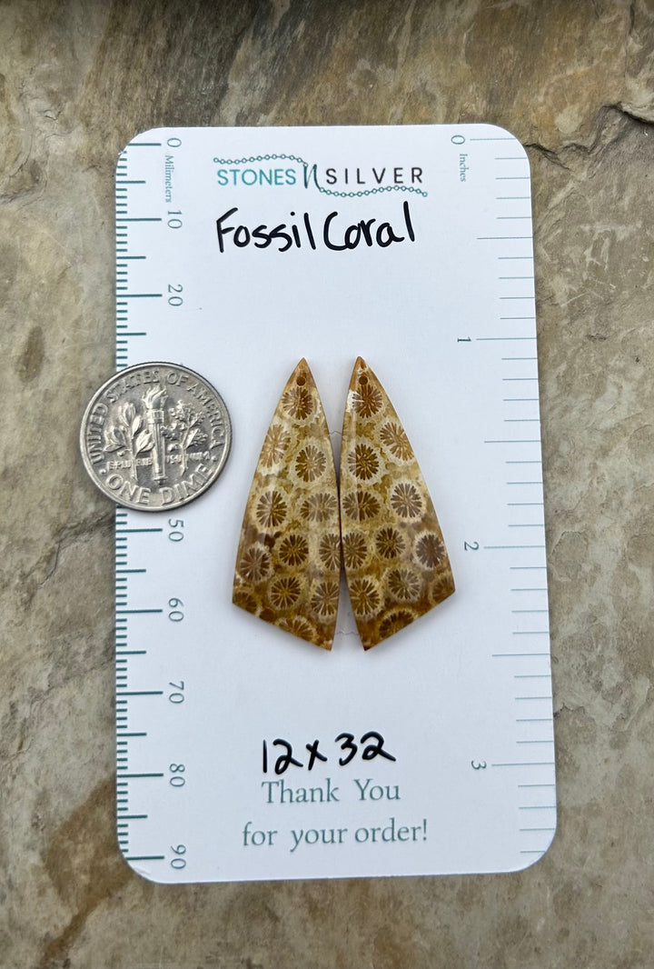 AAA+ Fossil Coral Matching Earring Slab Bead Pair 12x32mm