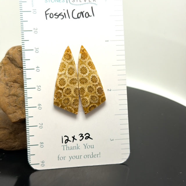 AAA+ Fossil Coral Matching Earring Slab Bead Pair 12x32mm