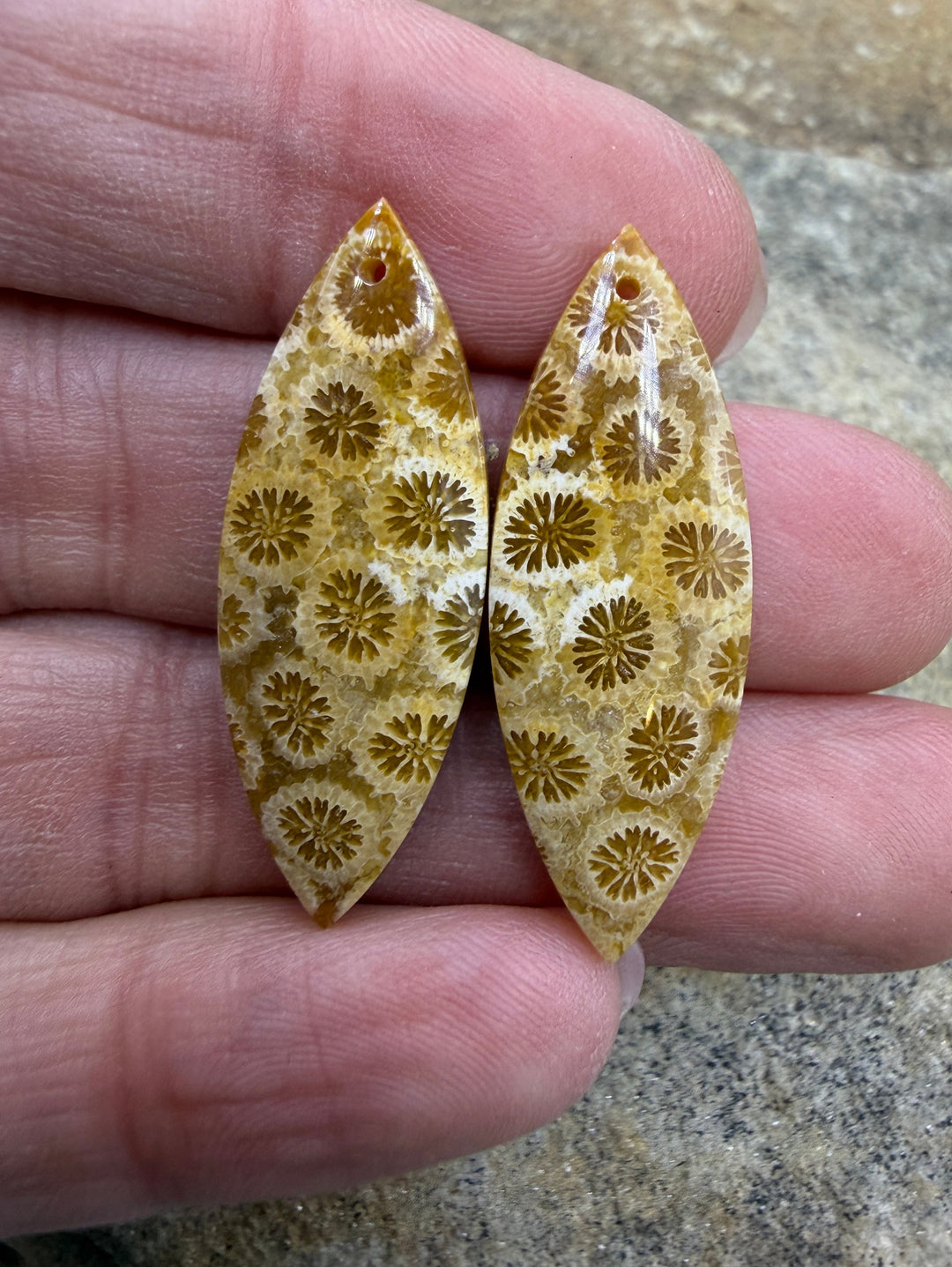 AAA+ Fossil Coral Matching Earring Slab Bead Pair 12x34mm