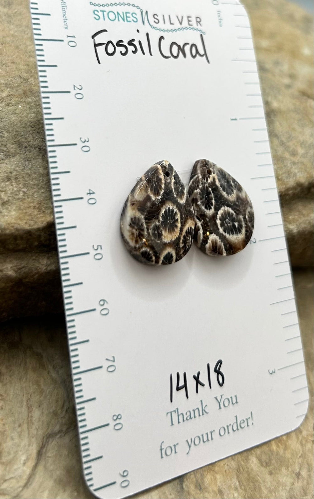 AAA+ Fossil Coral Matching Earring Slab Bead Pair 14x18mm