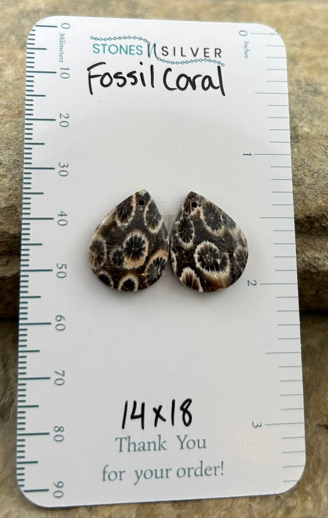AAA+ Fossil Coral Matching Earring Slab Bead Pair 14x18mm