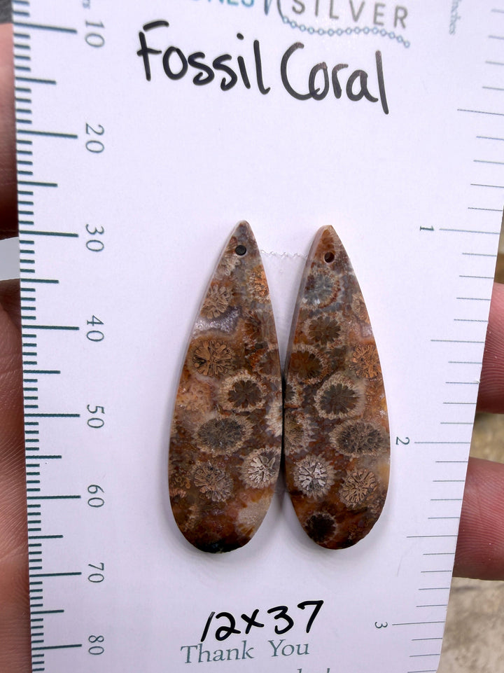 AAA+ Fossil Coral Matching Earring Slab Bead Pair 16x24mm