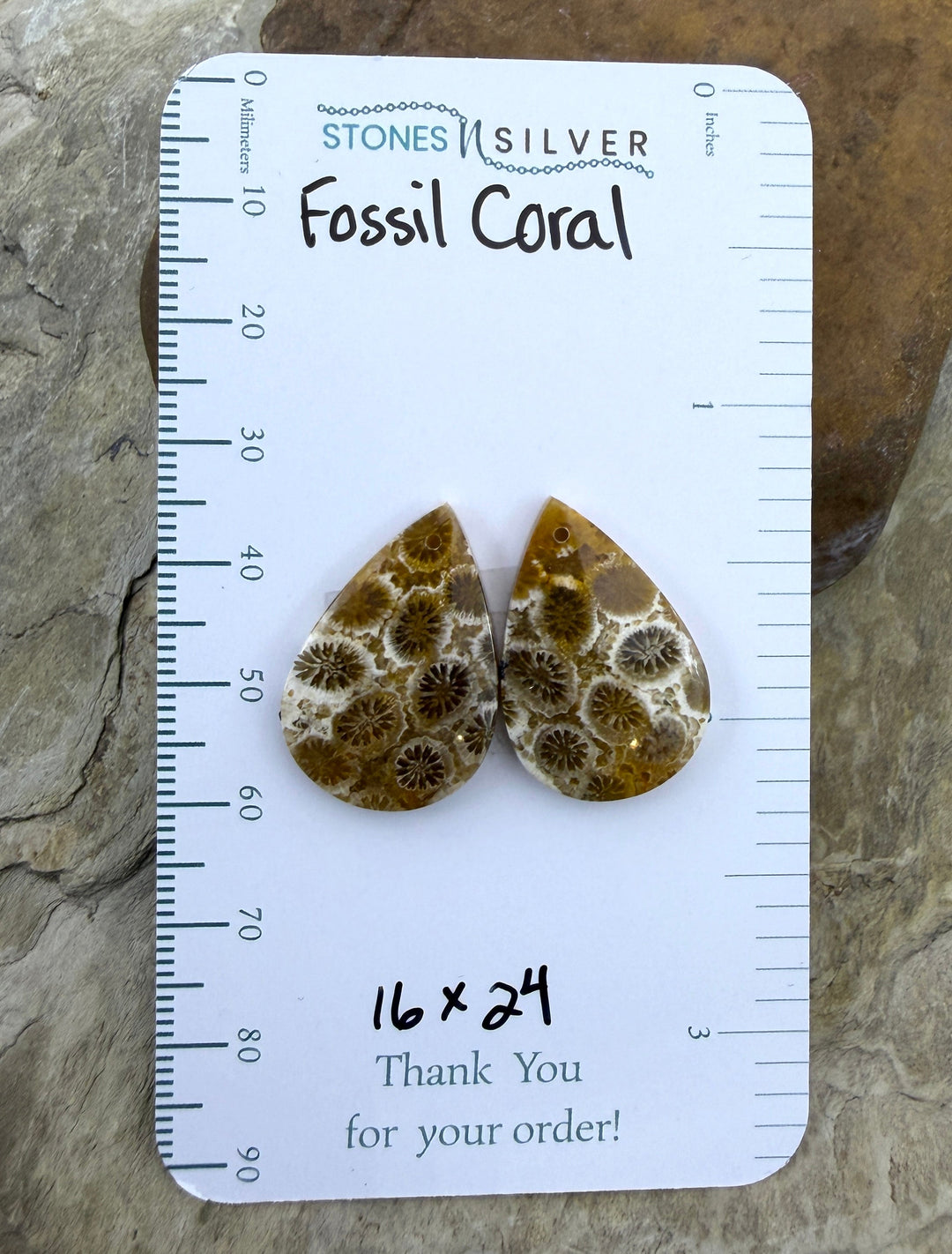 AAA+ Fossil Coral Matching Earring Slab Bead Pair 16x24mm