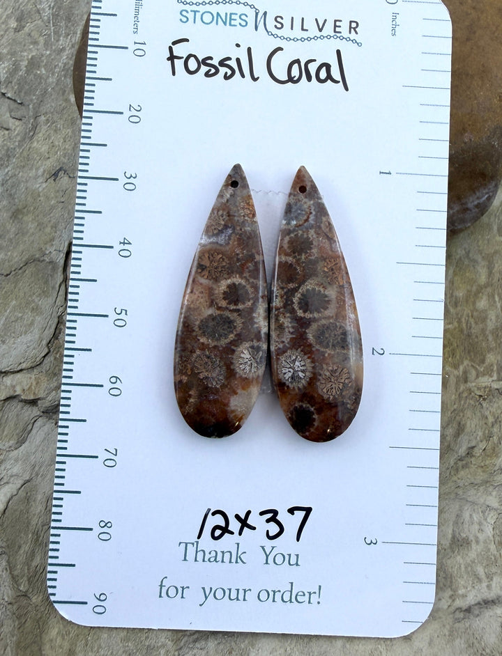 AAA+ Fossil Coral Matching Earring Slab Bead Pair 16x24mm