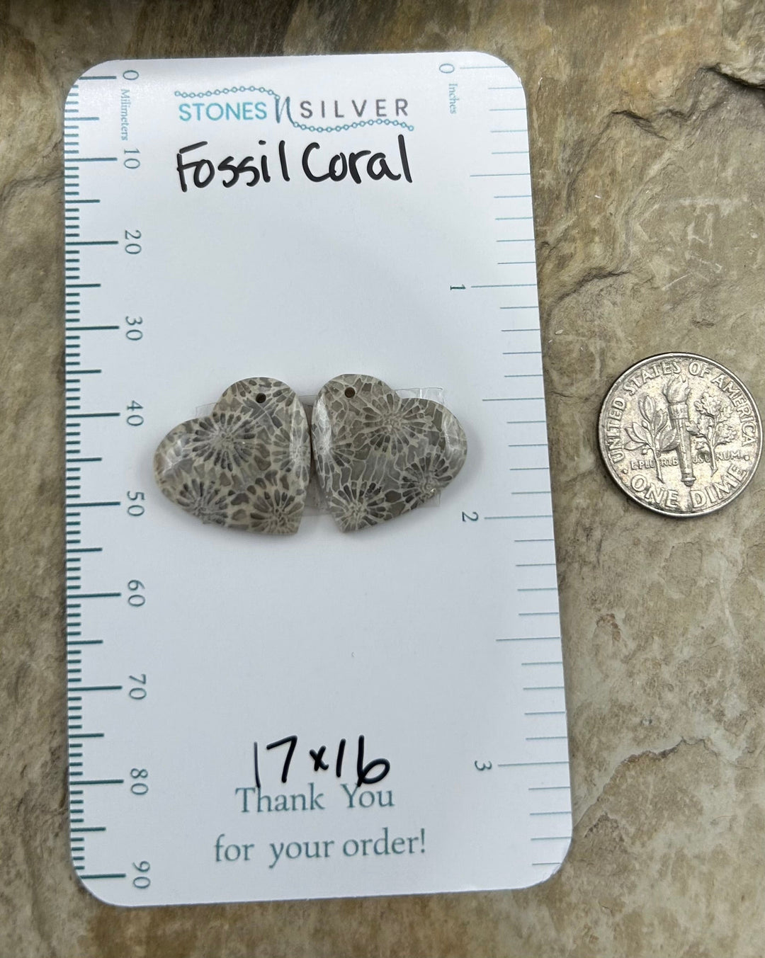 AAA+ Fossil Coral Matching Earring Slab Bead Pair 17x16mm