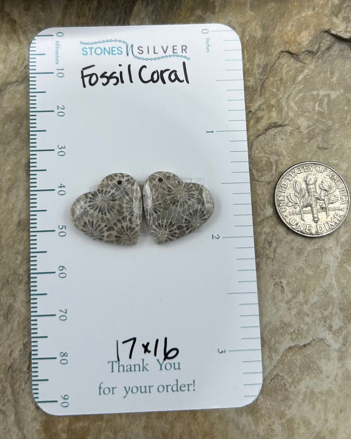 AAA+ Fossil Coral Matching Earring Slab Bead Pair 17x16mm