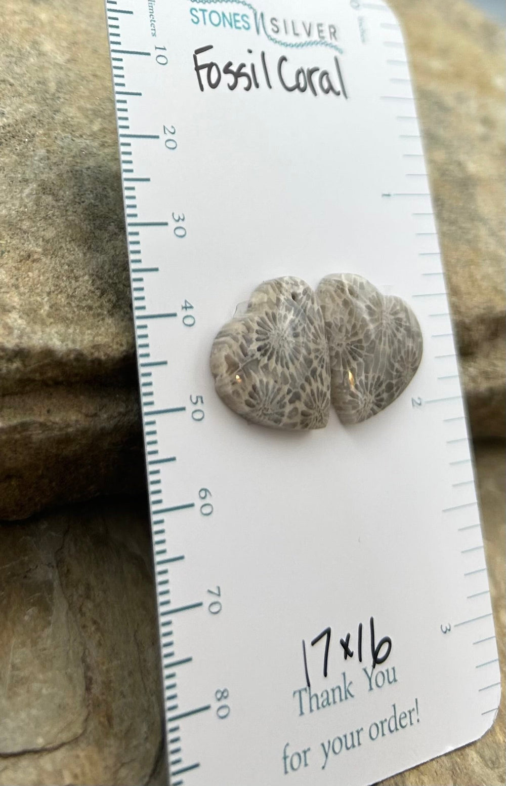 AAA+ Fossil Coral Matching Earring Slab Bead Pair 17x16mm