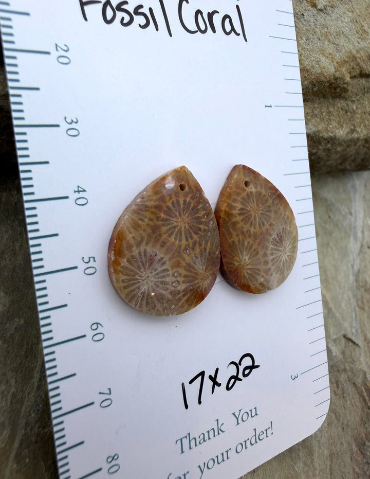 AAA+ Fossil Coral Matching Earring Slab Bead Pair 17x22mm