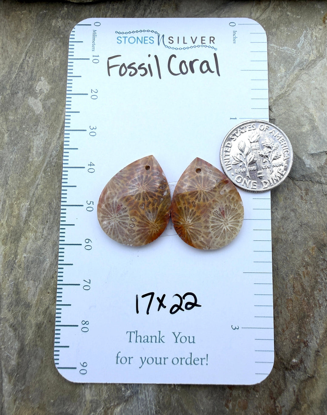 AAA+ Fossil Coral Matching Earring Slab Bead Pair 17x22mm