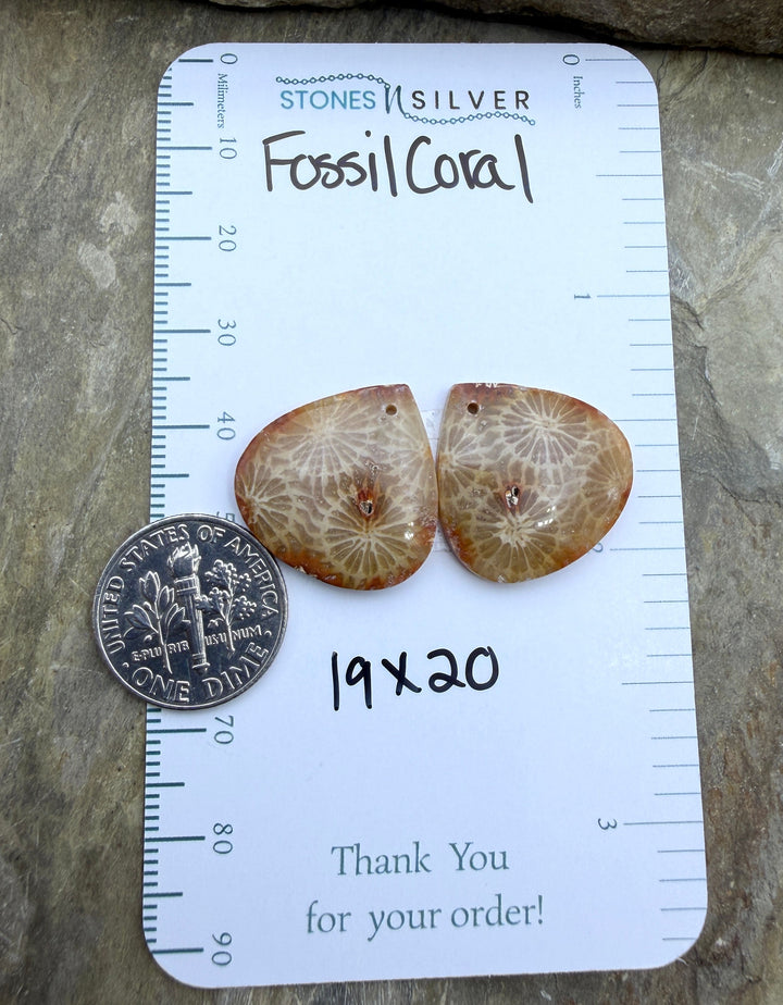 AAA+ Fossil Coral Matching Earring Slab Bead Pair 19x20mm