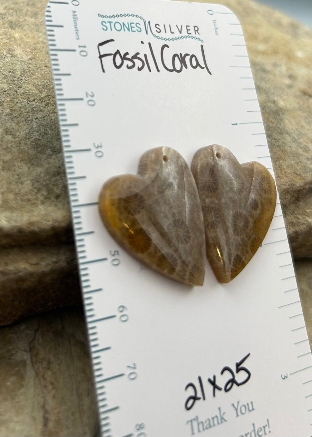 AAA+ Fossil Coral Matching Earring Slab Bead Pair 21x25mm