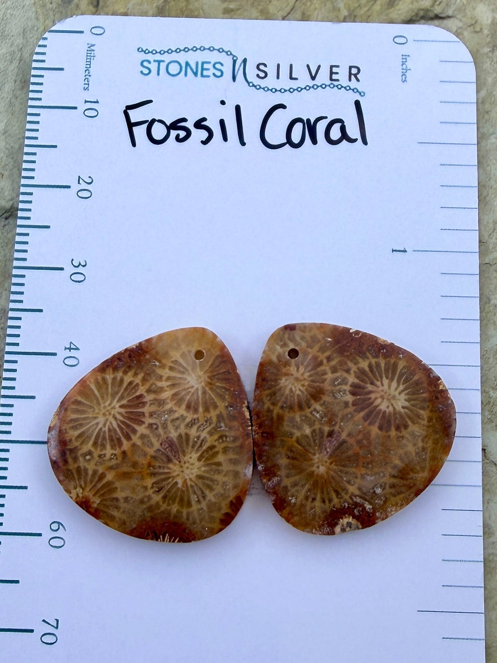 AAA+ Fossil Coral Matching Earring Slab Bead Pair 22x22mm