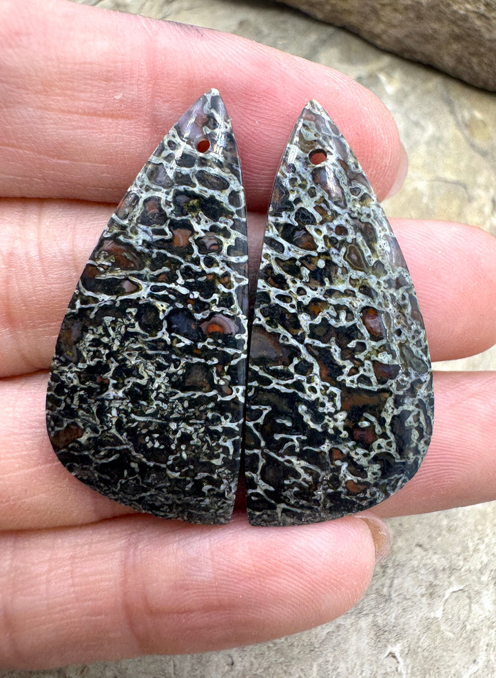 AAA + High Pattern Utah Dinosaur Bone Matching Earring Slab