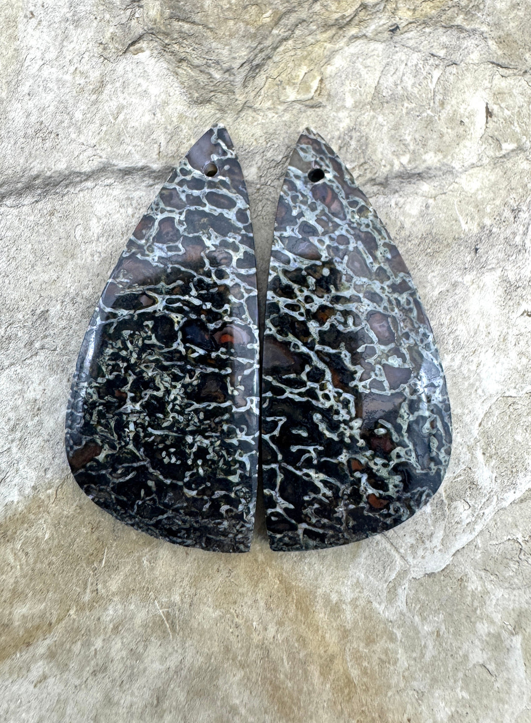 AAA + High Pattern Utah Dinosaur Bone Matching Earring Slab