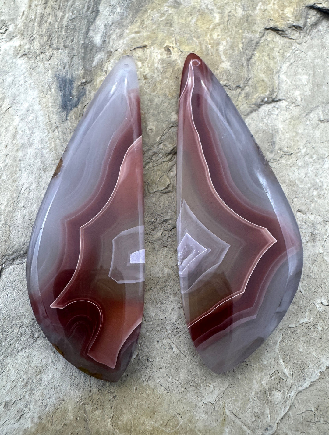 AAA + Incredible Laguna Lace Agate (Mexico) Huge Earring