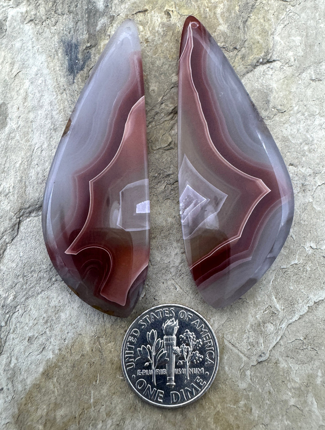 AAA + Incredible Laguna Lace Agate (Mexico) Huge Earring