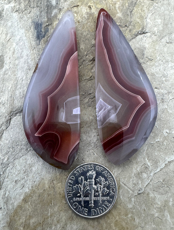 AAA + Incredible Laguna Lace Agate (Mexico) Huge Earring