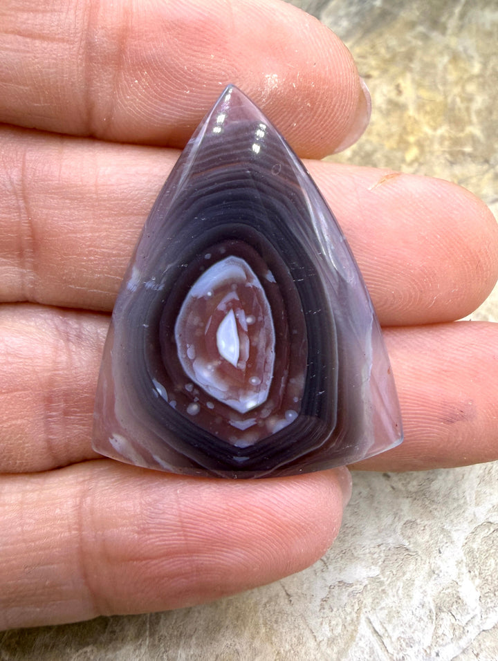 AAA+ Laguna Lace Agate (Mexico) 26x33mm Cabochon - Laguna