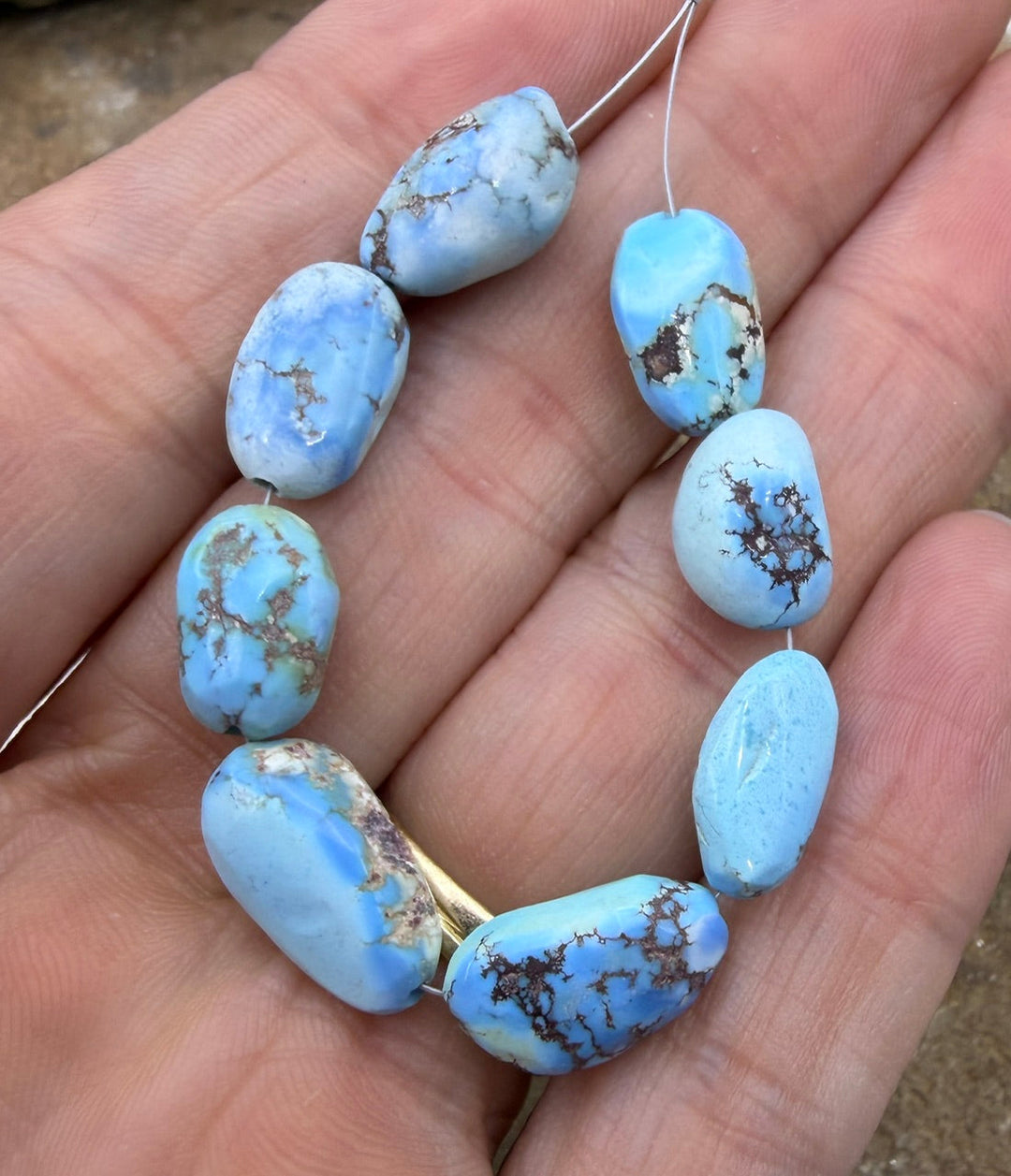 AAA+ RARE Golden Hills Turquoise (Kazakhstan) Large Long