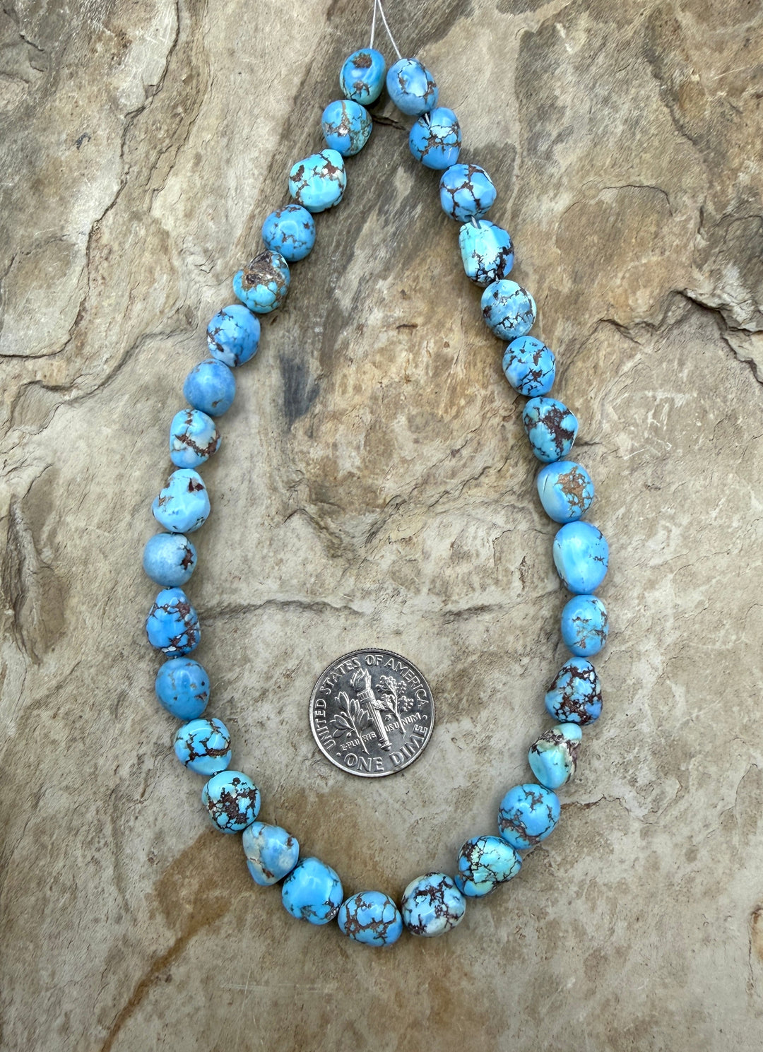 AAA+ RARE Golden Hills Turquoise (Kazakhstan) Large Rounded