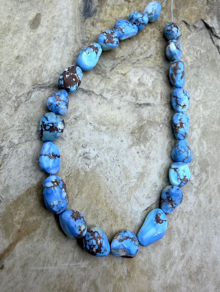 AAA+ RARE Golden Hills Turquoise (Kazakhstan) Large Rounded