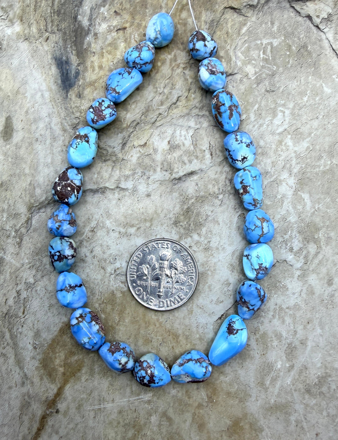 AAA+ RARE Golden Hills Turquoise (Kazakhstan) Large Rounded