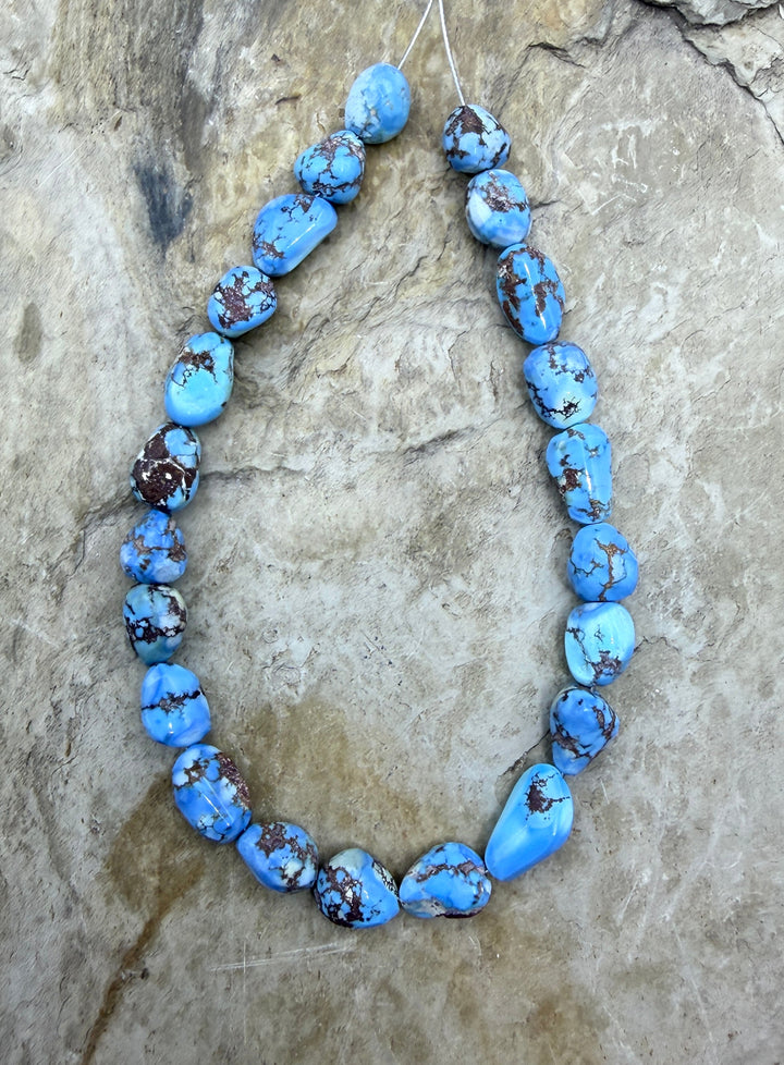 AAA+ RARE Golden Hills Turquoise (Kazakhstan) Large Rounded