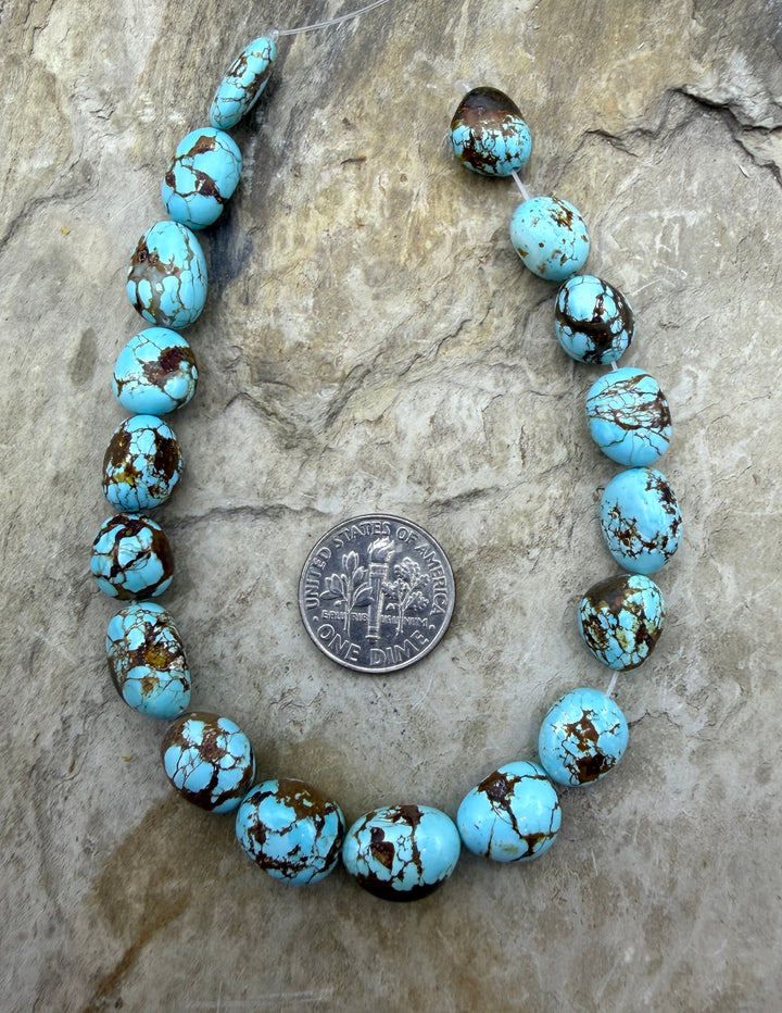 AAA+ RARE Number 8 Turquoise (Nevada) Graduated Rounded