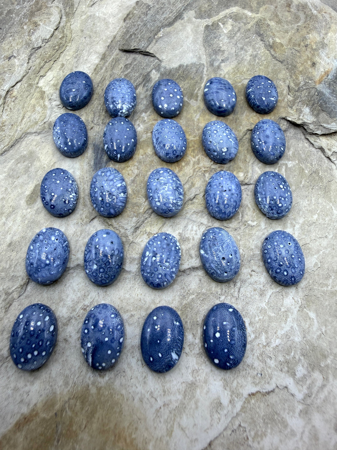 Blue Sponge Coral Calibrated Oval Cabochons 10x14mm Package
