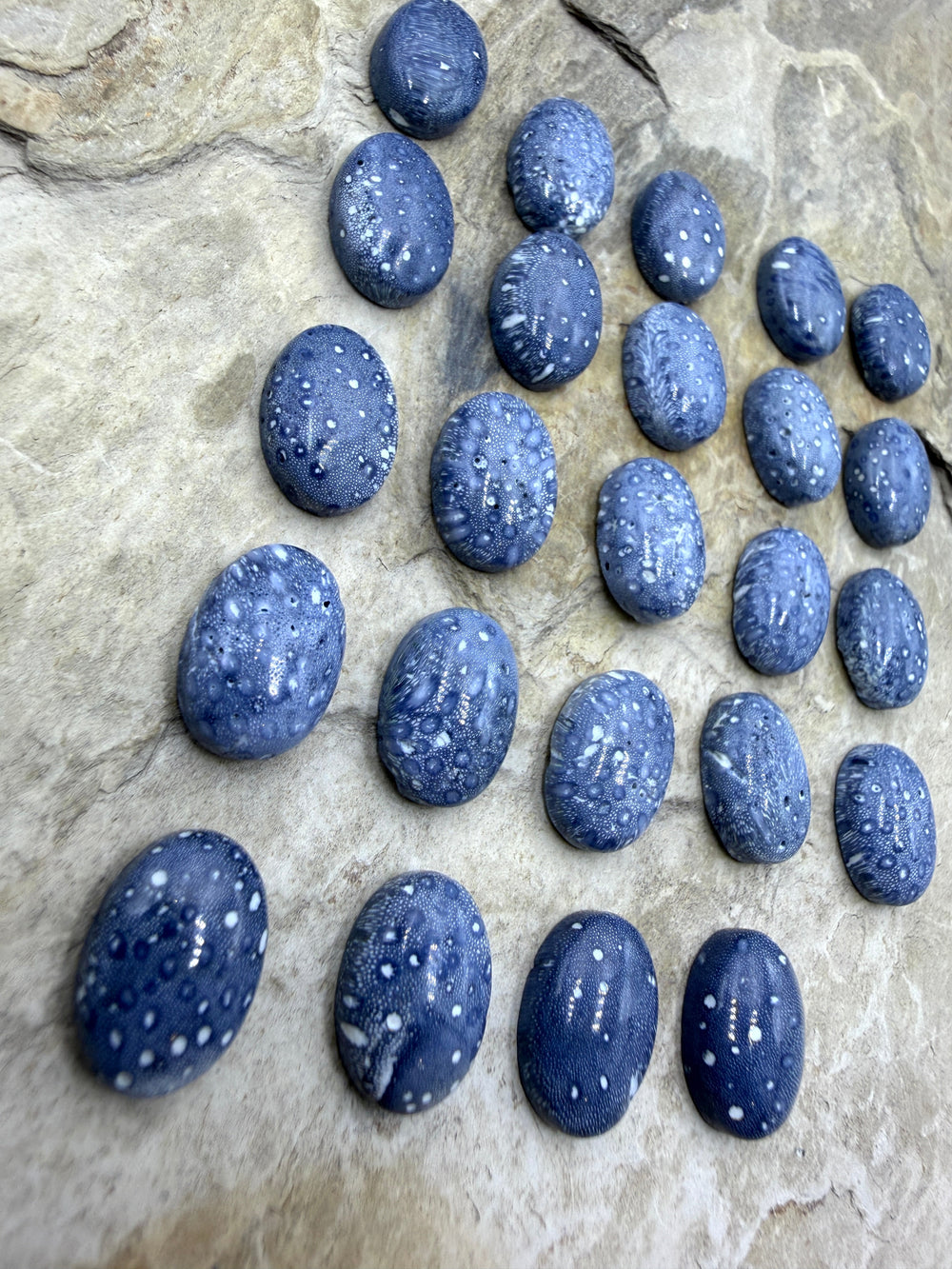 Blue Sponge Coral Calibrated Oval Cabochons 10x14mm Package