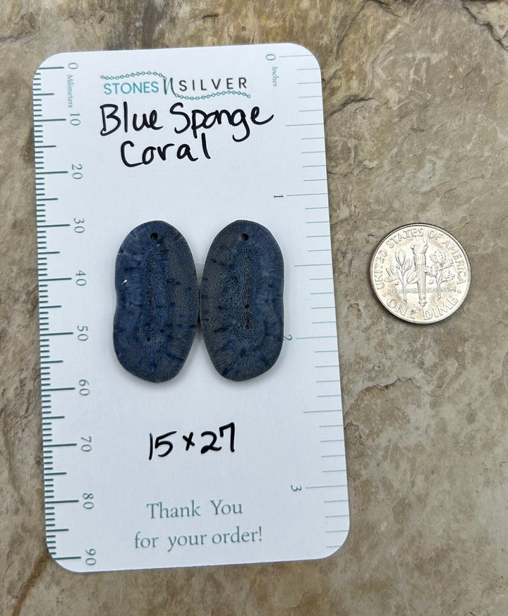 Blue Sponge Matching Earring Slab Bead Pair 15x27mm - Coral
