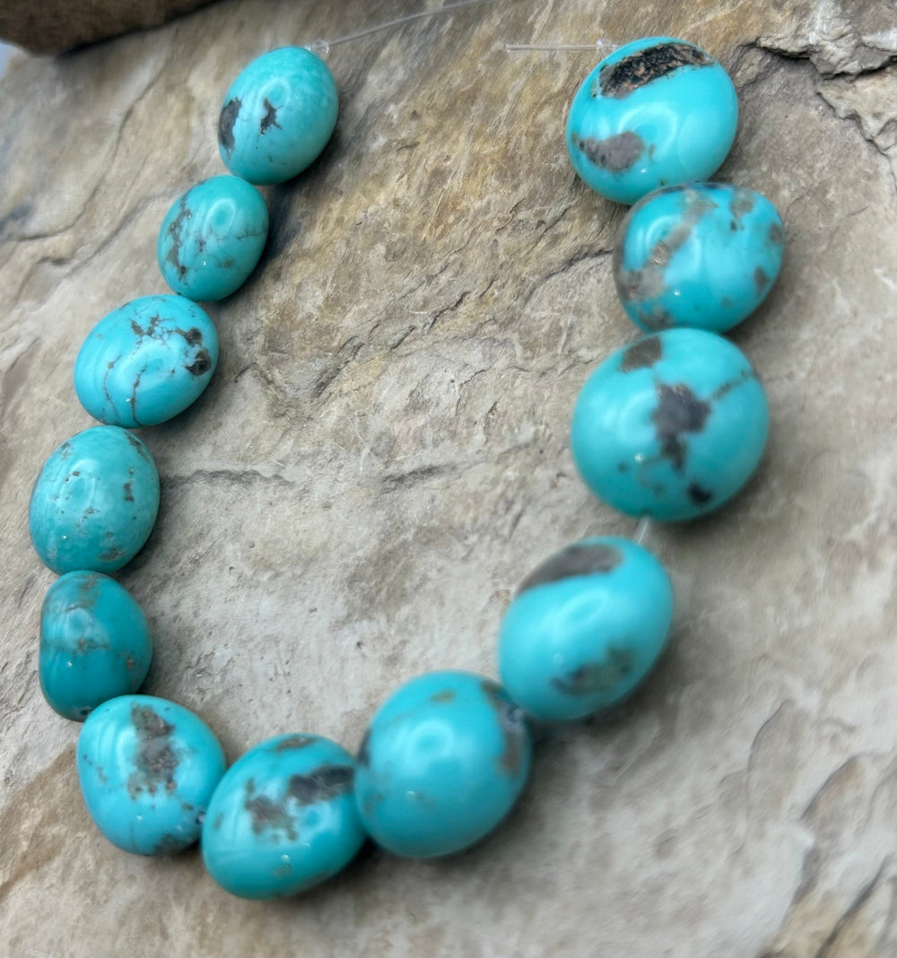 Campitos Turquoise (Mexico) BIG 12-15mm Smooth Rounded
