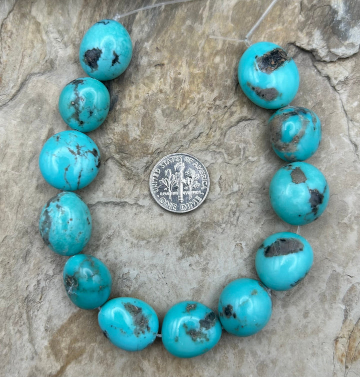 Campitos Turquoise (Mexico) BIG 12-15mm Smooth Rounded