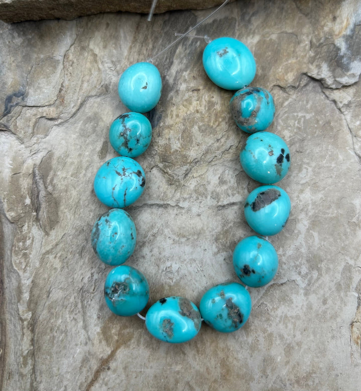 Campitos Turquoise (Mexico) BIG 12-15mm Smooth Rounded