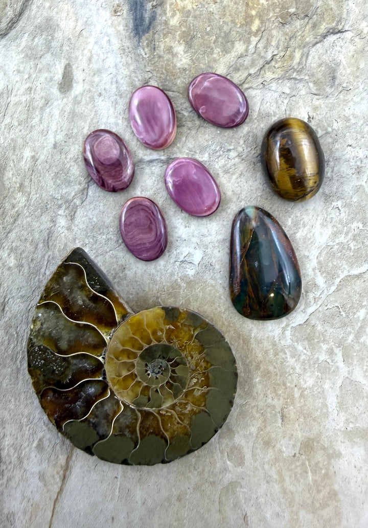 CLOSEOUT LOT of 8 Cabochons Lion’s Paw Ammonite Tiger’s Eye