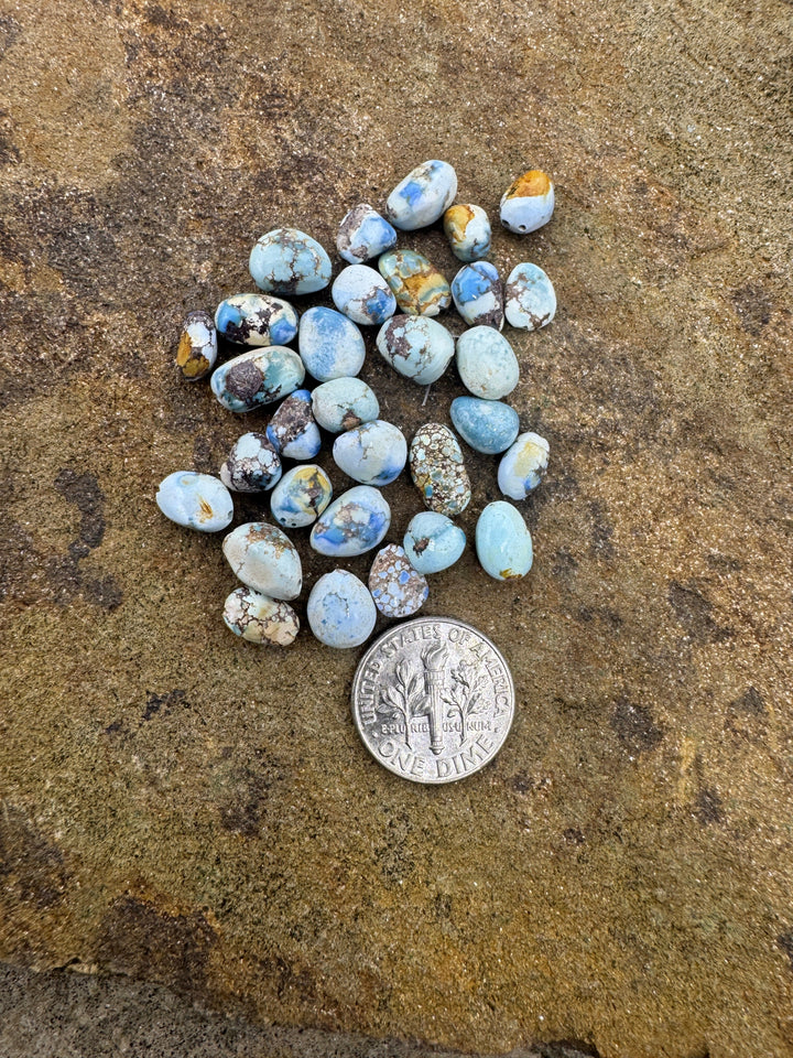 CLOSEOUT RARE Golden Hills Turquoise (Kazakhstan) Rounded