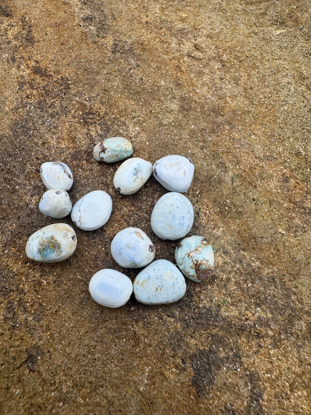 CLOSEOUT RARE Golden Hills Turquoise (Kazakhstan) Rounded