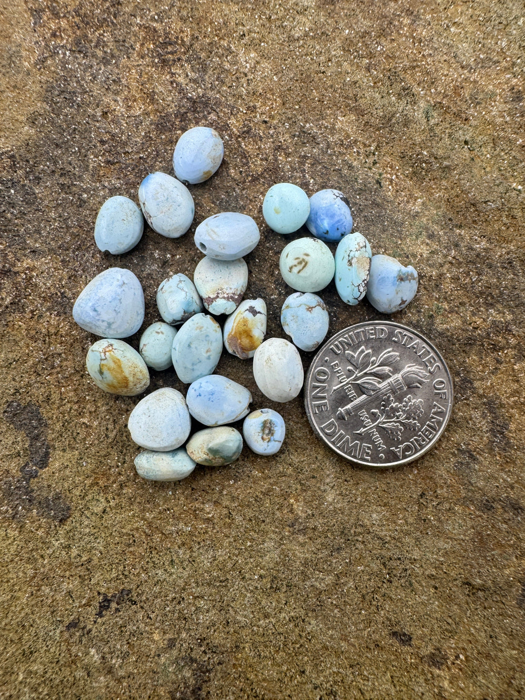 CLOSEOUT RARE Golden Hills Turquoise (Kazakhstan) Rounded