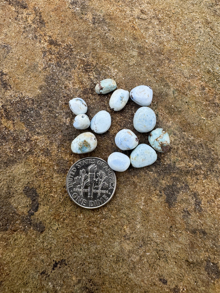 CLOSEOUT RARE Golden Hills Turquoise (Kazakhstan) Rounded