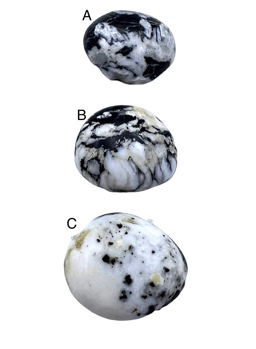 Copy of RARE High Quality White Buffalo Freeform Cabochons