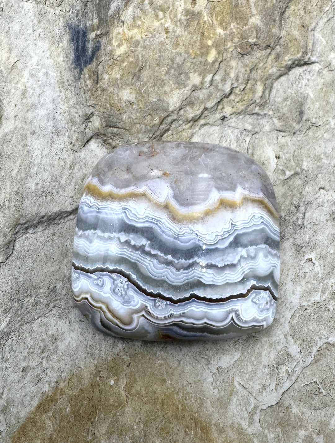 Crazy Lace Agate Freeform Cabochon 37x36mm - Crazy Lace