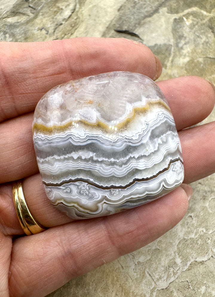 Crazy Lace Agate Freeform Cabochon 37x36mm - Crazy Lace
