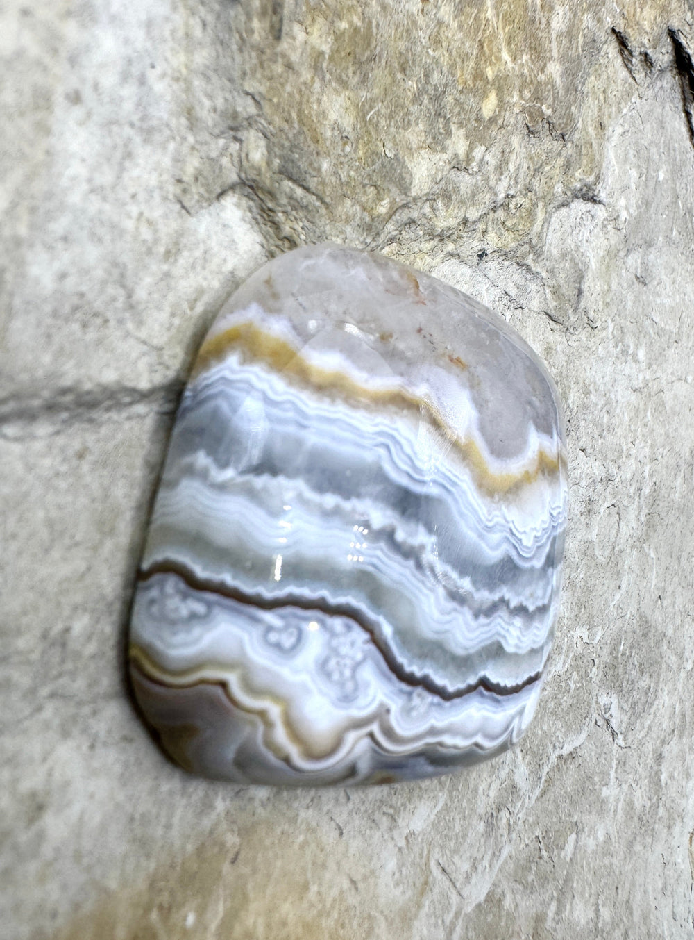 Crazy Lace Agate Freeform Cabochon 37x36mm - Crazy Lace