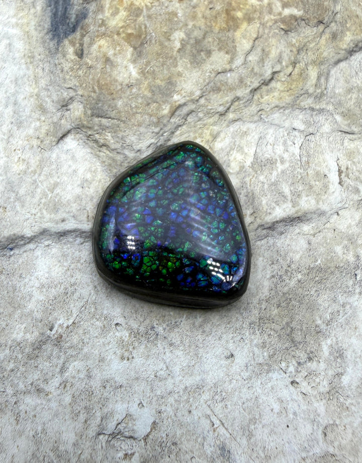 Dark Blue/Green Ammolite (Canada) Freeform Cabochon 19x20mm