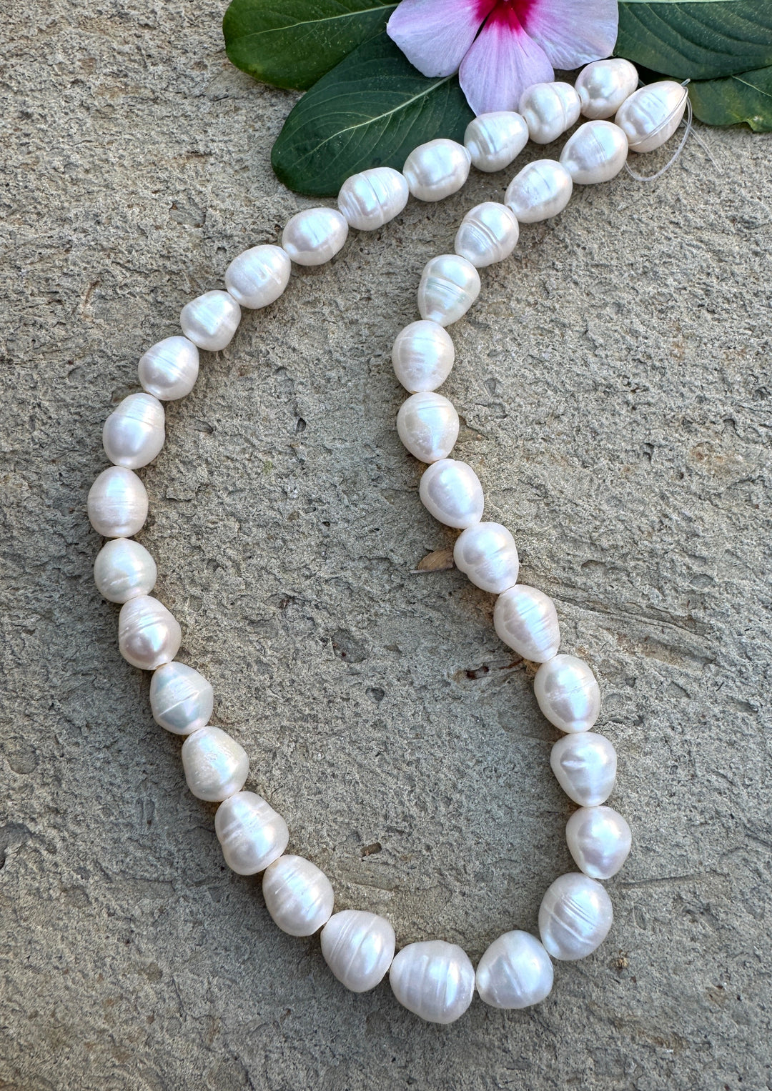 *Estate Collection Special* Byttery White Ringed BIG
